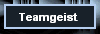 Teamgeist 